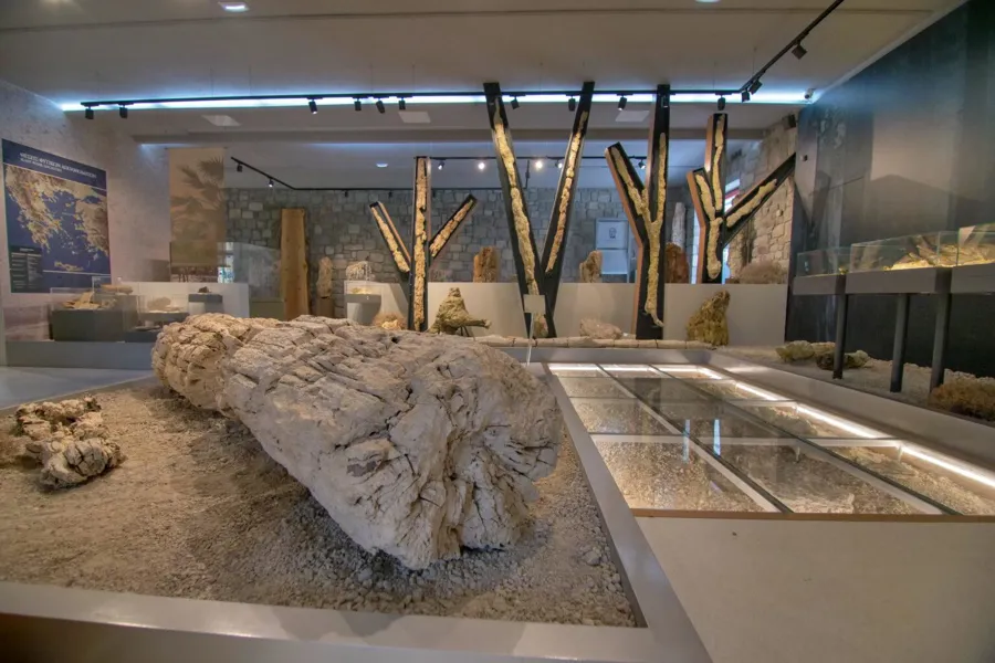 Taşlaşmış Orman (Petrified Forest)
