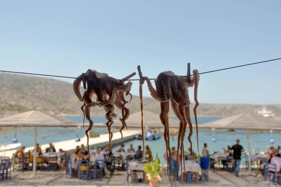 Kurutulmuş Ahtapot (Htapodi) — fotoğraf 4