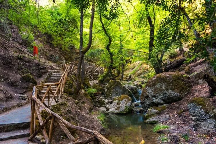 Kelebekler Vadisi (Petaloudes) — fotoğraf 2