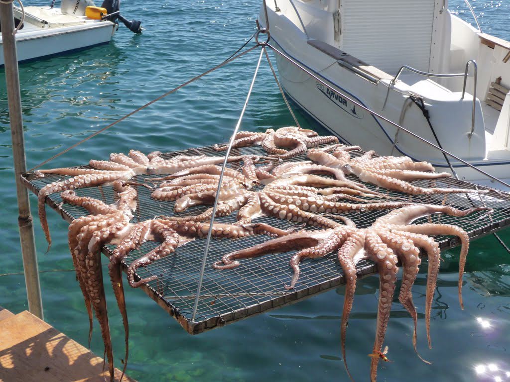 Sakız Adası Kuzey Ada Turu — fotoğraf 3
